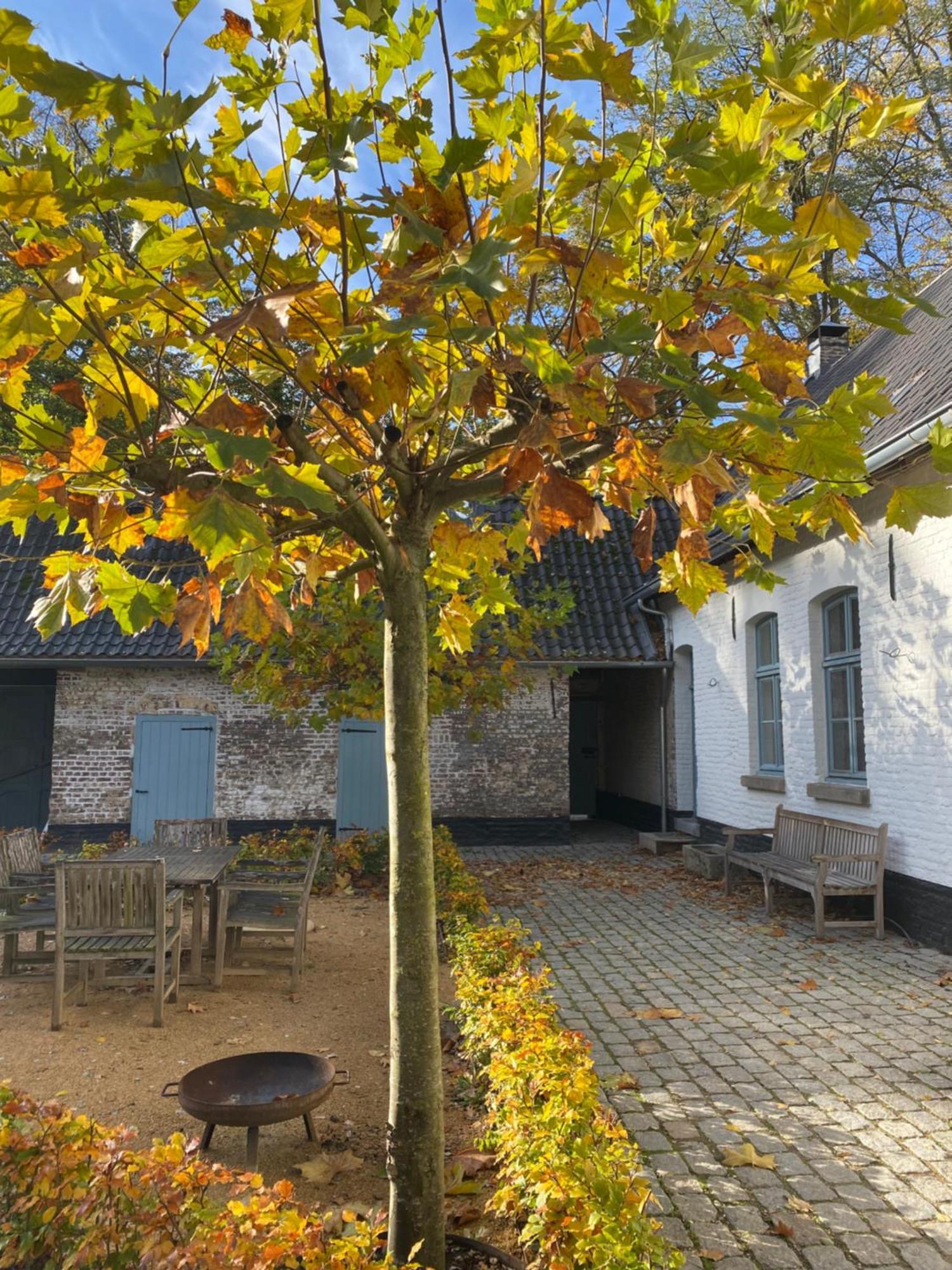 Cottage Landgoed Frymerson Sint Odiliënberg Zewnętrze zdjęcie